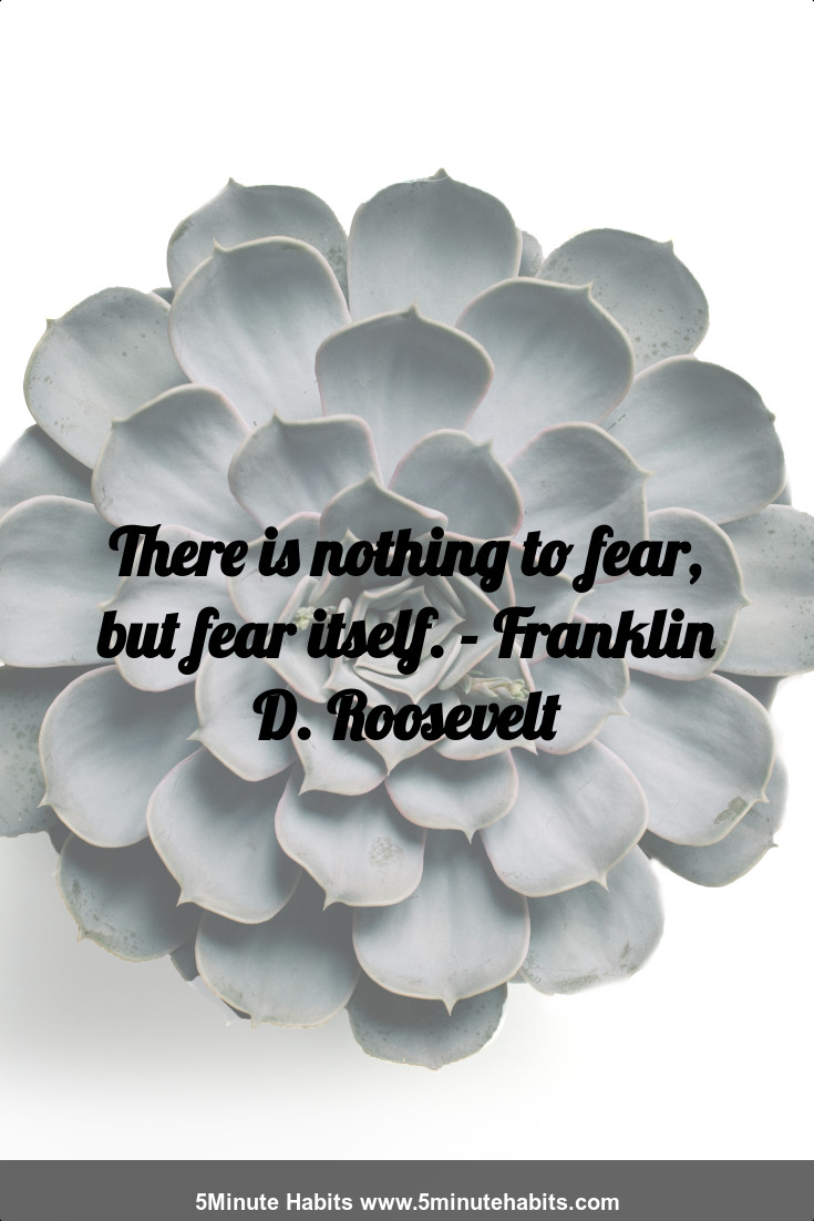 There is nothing to fear, but fear itself. - Franklin D. Roosevelt